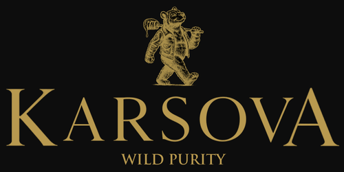 karsovalogoblack